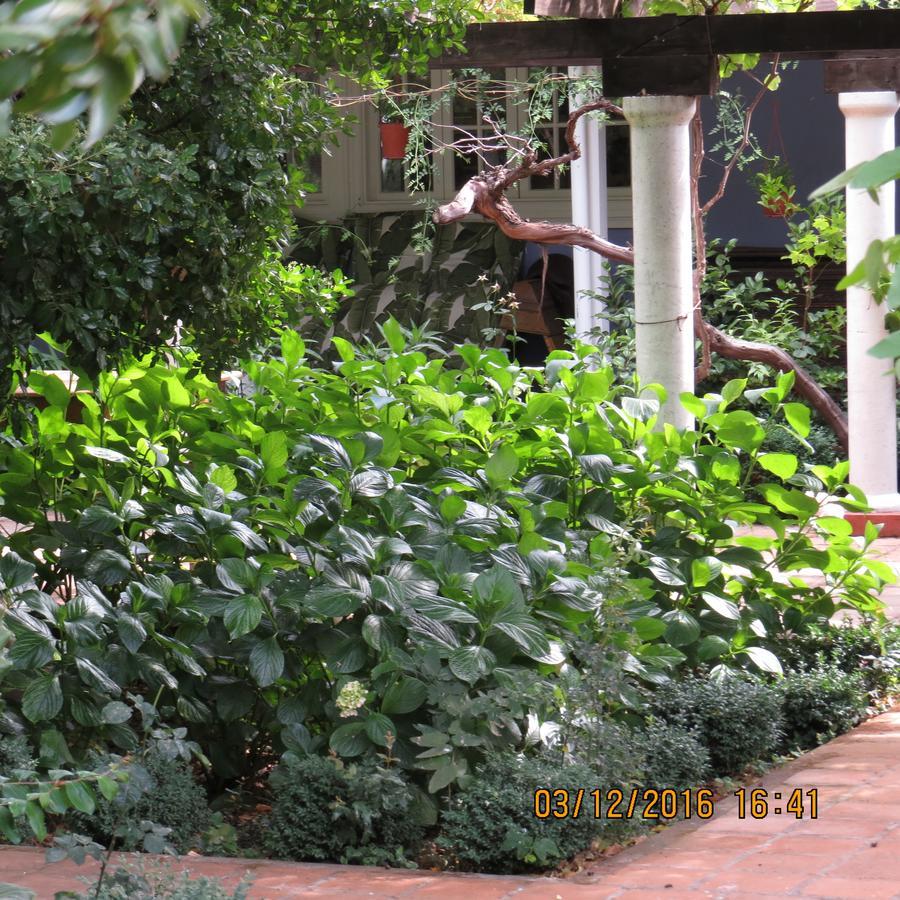 Hotel Boutique Quinta Maria Santa Cruz Eksteriør bilde
