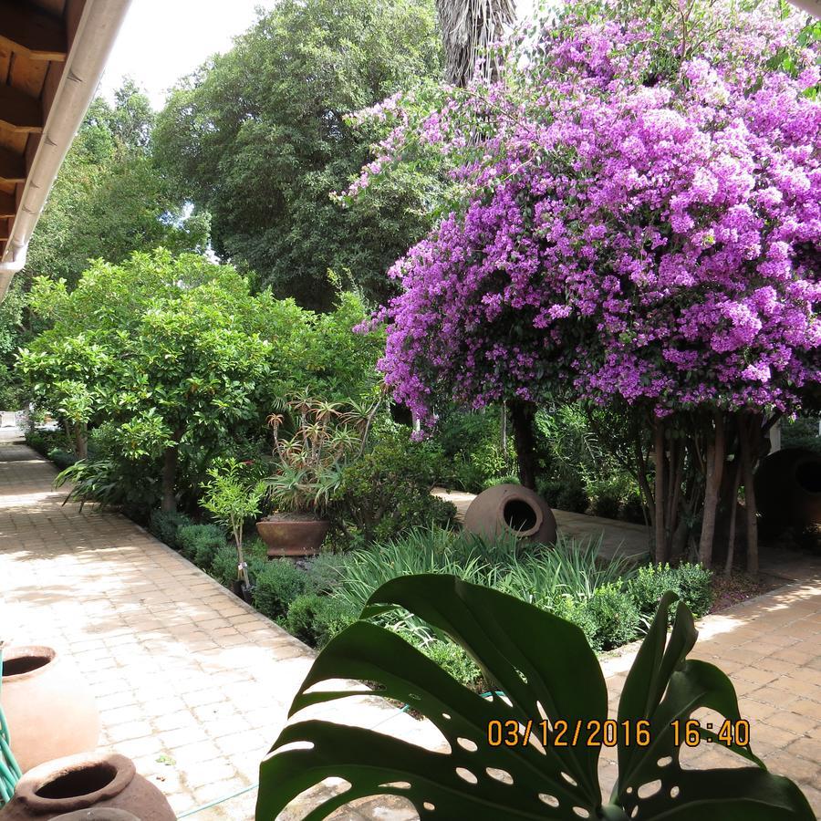 Hotel Boutique Quinta Maria Santa Cruz Eksteriør bilde