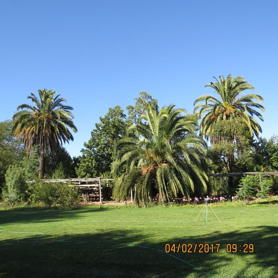 Hotel Boutique Quinta Maria Santa Cruz Eksteriør bilde