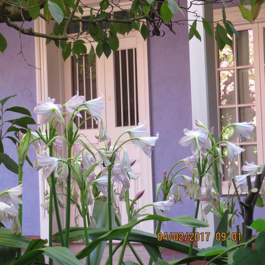 Hotel Boutique Quinta Maria Santa Cruz Eksteriør bilde