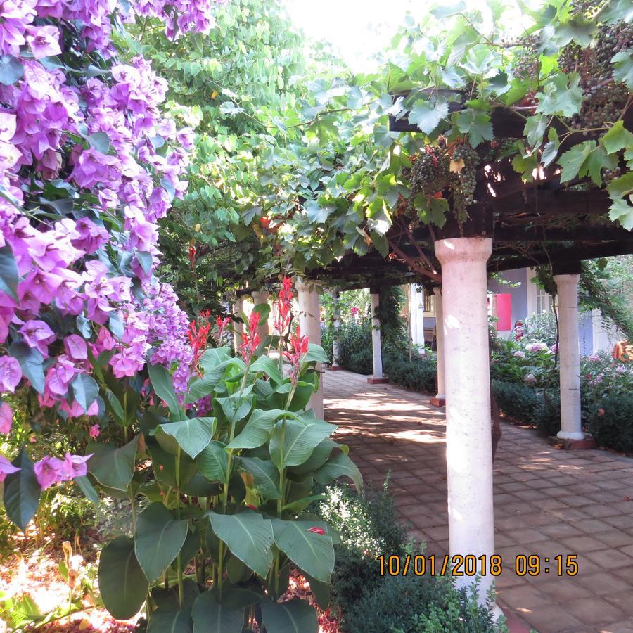 Hotel Boutique Quinta Maria Santa Cruz Eksteriør bilde