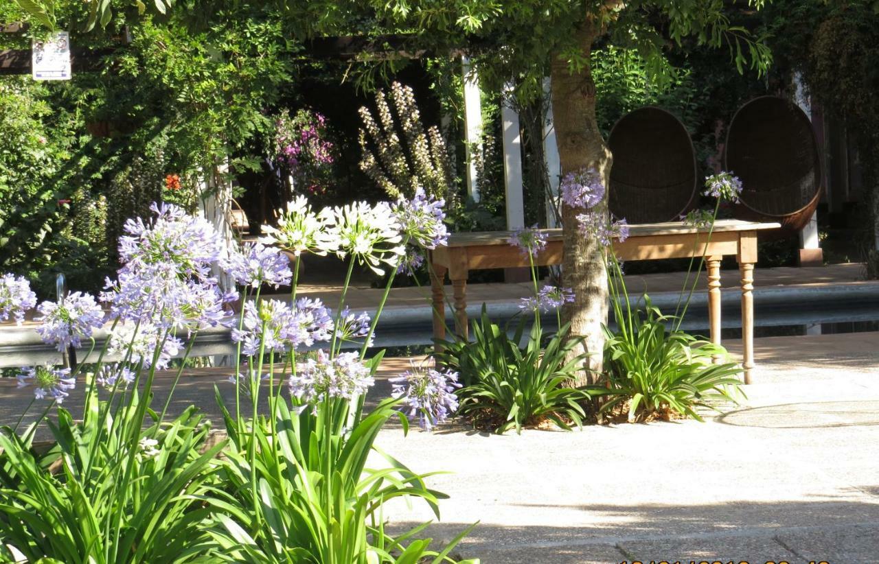 Hotel Boutique Quinta Maria Santa Cruz Eksteriør bilde