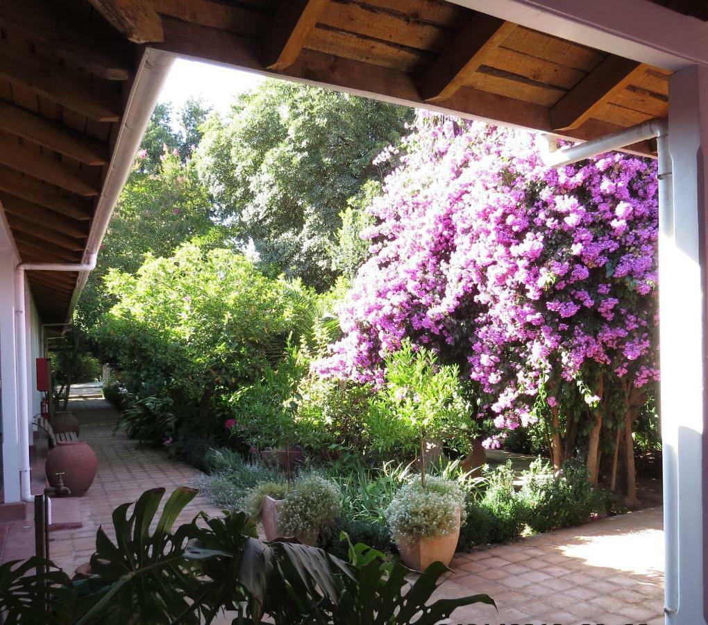 Hotel Boutique Quinta Maria Santa Cruz Eksteriør bilde