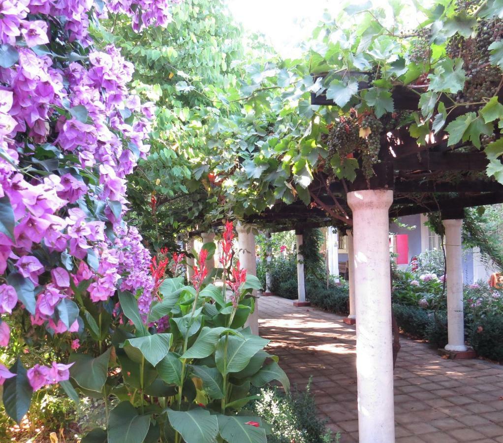 Hotel Boutique Quinta Maria Santa Cruz Eksteriør bilde